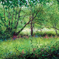 DO66601 - Rhapsody in Green (6 bagged blank cards)