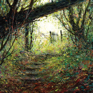 DO66603 - Green Shoots (6 bagged blank cards)