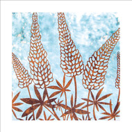 JP97569 - Lupins (6 bagged blank cards)