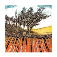 ST57640 - Tangled & Combed (6 bagged blank cards)