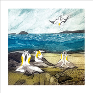 ST57644 - A Plunging of Gannets (6 bagged blank cards)