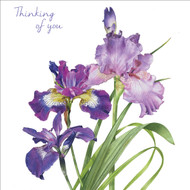 BS77634Y - u - Purple Iris - Thinking of You (6 unbagged thinking of you cards)