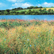 DO66604 - u - Breeze on the Ley (6 unbagged blank cards)