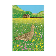 LP99629 - u - Curlew Meadow (6 unbagged blank cards)