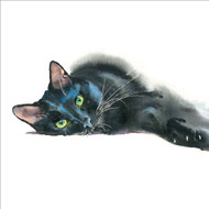 RT84606 - u - Black Cat (6 unbagged blank cards)