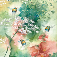 RT84608 - u - Queen Anne's Lace (6 unbagged blank cards)