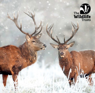 TWT91011 - 2026 Wildlife Trust mixed 153mm pack 10pk (TWT, 6 Christmas packs)