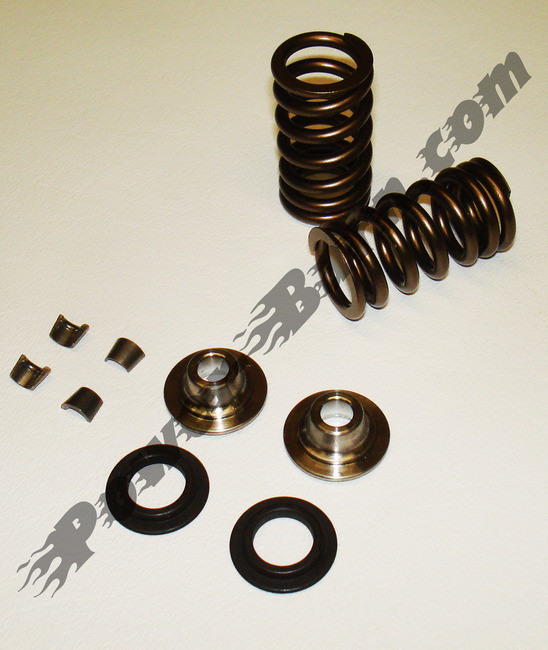 Ferrea Racing Valve Spring Kit for Suzuki DRZ, LTZ, Kawasaki KLX