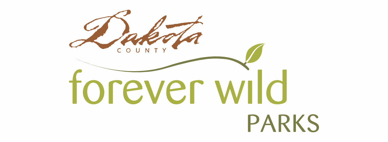 dcp-banner.png