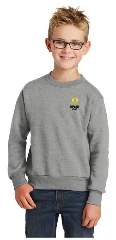 HCDC Youth Long-Sleeve Crewneck Sweatshirt - OrderTeamGear ...