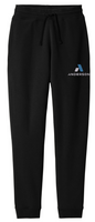 AE Men’s District V.I.T. Fleece Jogger
