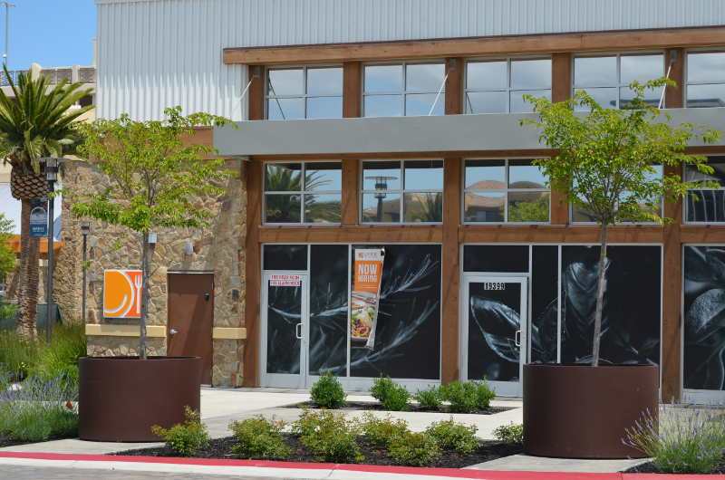 Pair of cylinder planters for a shopping center in Cupertino CA