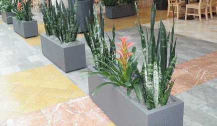 Shopping Mall Planters Westfield