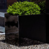 Farnley Gloss Planters (fiberglass in gloss black finish)