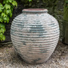 Palatine Jar (Terracotta in Vicolo Terra Glaze)