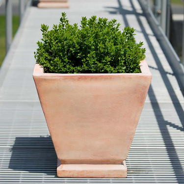 Lisburn Planters (Terracotta in Natural Clay finish)