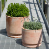 Sombra Planters (Terracotta in Natural Clay finish)