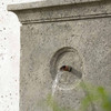 Arles Fountain Detail (Cast Stone in Alpine Stone Finish)