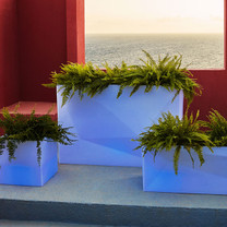 Faz LED Wall Planter (Polyethylene in Matte Ice-white with color LED lighting)