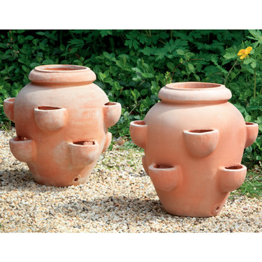 Tascandi Strawberry Jars (Terracotta in natural finish)
