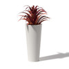 Cone Planter Planted In - Material : Aluminum - Finish : Linen