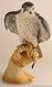 Boehm Peregrine Falcon On Glove Hallmark 10207