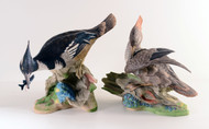 Boehm "Hooded Mergansers" 496