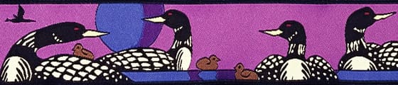 loons-pink-.jpg loons-pink-.jpg