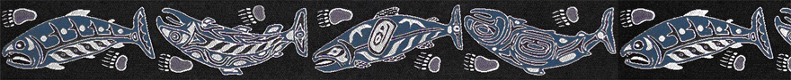 salmon-navy-880-x-90.jpg