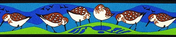 sandpipers-blue-lime-.jpg