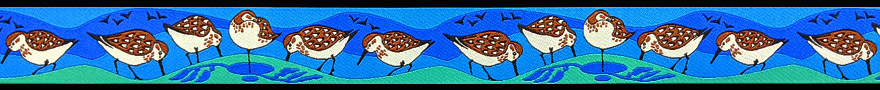 sandpipers-teal-blue-880-x-90a.jpg
