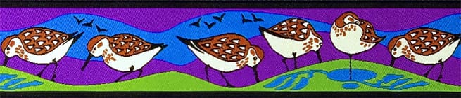 sandpipersrazzlelime.jpg sandpipersrazzlelime.jpg