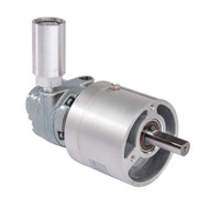 Gast 1UP-NRV-4-GR11 air powered gear motor