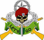 STICKER US ARMY UNIT Army Paratrooper Insignia