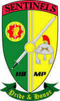 STICKER US ARMY UNIT 110th Military Police Company Crest
