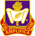 STICKER US ARMY UNIT  489th Civil Affairs Battalion