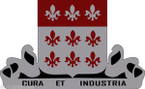 STICKER US ARMY UNIT  307th - Support Battalion