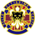 STICKER US ARMY UNIT  13th Combat Support Hospital