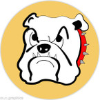 STICKER US ARMY AIR FORCE  313th Fighter Squadron