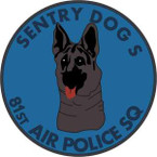 STICKER USAF 81st Air Force Squadron