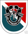 STICKER U S ARMY FLASH  11TH SPECIAL FORCES GROUP