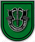 STICKER U S ARMY FLASH  10TH SPECIAL FORCES GROUP