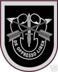 STICKER U S ARMY FLASH   5TH SPEC FORCES CURRENT
