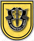 STICKER U S ARMY FLASH   1ST SPECIAL FORCES GROUP