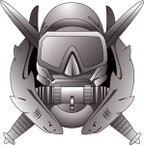 STICKER MILITARY Basic Combat Diver