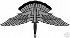 STICKER MILITARY BADGE HALO BASIC