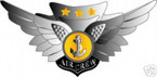 STICKER MILITARY BADGE COMBAT AIRCREW WINGS