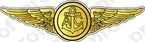 STICKER USN NAVY AIRCREW WINGS