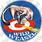 STICKER USAF F16 WILD WEASEL ONE