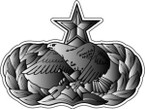 STICSTICKER USAF VET U S AIR FORCE PROUD VETERAN V2